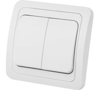 Двухклавишный выключатель TDM ELECTRIC 10А белый Валдай SQ1804-0002