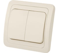 Выключатель слоновая кость 2-клавишный TDM ELECTRIC 10А серия "Валдай" SQ1804-0102