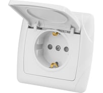 Розетка с крышкой белая с заземлением с защитными шторками 16А 250В IP44 серия "Онега" TDM ELECTRIC SQ1805-0014