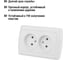 Двойная розетка, белая 2П 10А 250В TDM ELECTRIC Онега SQ1805-0017 4