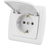 Розетка с крышкой белая с заземлением 16А 250В IP44 серия "Онега" TDM ELECTRIC SQ1805-0019