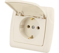 Розетка с крышкой с заземлением 16А 250В IP44 слоновая кость "Онега" TDM ELECTRIC SQ1805-0048