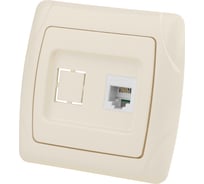 Розетка телефонная RJ11 слоновая кость "Онега" TDM ELECTRIC SQ1805-0049