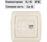 Розетка компьютерная RJ45 слоновая кость "Онега" TDM ELECTRIC SQ1805-0051 2