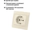 Розетка, слоновая кость 2П+З 16А 250В TDM ELECTRIC Таймыр SQ1814-0112 5