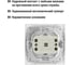 Розетка с защитными шторками, белая 2П+З 16А 250В TDM ELECTRIC Таймыр SQ1814-0016 6