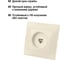 Телефонная розетка, слоновая кость RJ11 TDM ELECTRIC Таймыр SQ1814-0120 5