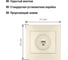 Компьютерная розетка TDM ELECTRIC Таймыр RJ45 слоновая кость SQ1814-0121 4
