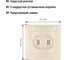 Телефонная розетка RJ11 + компьютерная RJ45, слоновая кость TDM ELECTRIC Таймыр SQ1814-0123 4