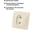Телефонная розетка RJ11 + компьютерная RJ45, слоновая кость TDM ELECTRIC Таймыр SQ1814-0123 5