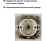 Телефонная розетка RJ11 + компьютерная RJ45, слоновая кость TDM ELECTRIC Таймыр SQ1814-0123 6
