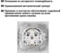 Розетка с защитной шторкой, белая 2П+З 16А 250В TDM ELECTRIC Лама SQ1815-0011 5