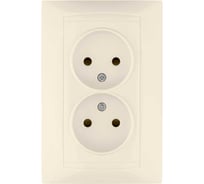 Двойная розетка с защитной шторкой, слоновая кость 2П 10А 250В TDM ELECTRIC Лама SQ1815-0112