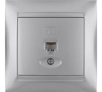 Розетка телефонная RJ11 TDM ELECTRIC серебристый металлик, серия "Лама" SQ1815-0215