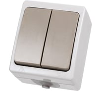 Выключатель TDM ELECTRIC 2-кл. открытой установки IP54 10А "Вуокса" SQ1803-0002