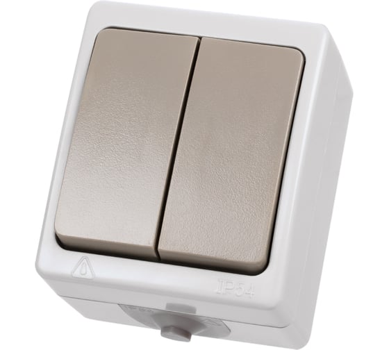 Выключатель TDM ELECTRIC 2-кл. открытой установки IP54 10А "Вуокса" SQ1803-0002 1