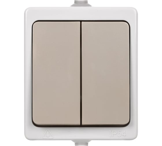 Выключатель TDM ELECTRIC 2-кл. открытой установки IP54 10А "Вуокса" SQ1803-0002