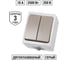 Выключатель TDM ELECTRIC 2-кл. открытой установки IP54 10А "Вуокса" SQ1803-0002 2