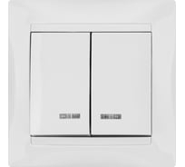 Двухклавишный выключатель TDM ELECTRIC с подсветкой, белый Лама SQ1815-0005