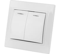 Двухклавишный выключатель TDM ELECTRIC с подсветкой, белый Таймыр SQ1814-0005