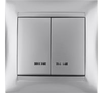 Выключатель с подсветкой двухклавишный, серебристый металлик TDM ELECTRIC 10А серия "Лама" SQ1815-0205