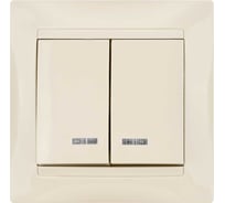 Двухклавишный выключатель TDM с подсветкой, слоновая кость Лама SQ1815-0105