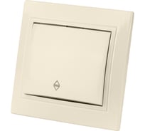 Проходной выключатель TDM ELECTRIC Таймыр слоновая кость одноклавишный SQ1814-0107