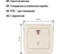 Выключатель 1 клавишный с подсветкой TDM ELECTRIC 10А слоновая кость "Онега" SQ1805-0035 3