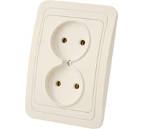 Двойная розетка, слоновая кость 2П 10А TDM ELECTRIC Валдай SQ1804-0109