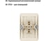 Двойная розетка, слоновая кость 2П 10А TDM ELECTRIC Валдай SQ1804-0109 5