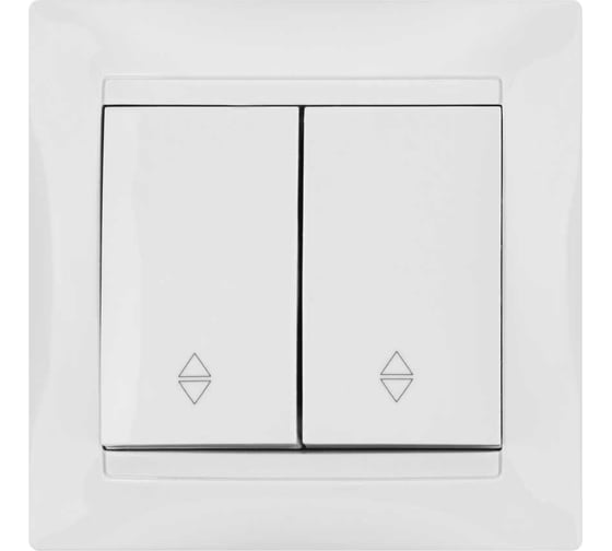 Проходной выключатель TDM ELECTRIC Лама белый двухклавишный SQ1815-0007 1