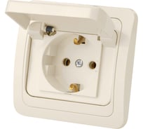 Розетка с крышкой слоновая кость с заземлением 16А IP44 серия "Валдай" TDM ELECTRIC SQ1804-0111
