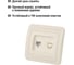 Розетка компьютерная RJ-45 слоновая кость серия "Валдай" TDM ELECTRIC SQ1804-0113 4