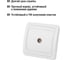 Телевизионная простая розетка, мама, белая 0-2400Гц TDM ELECTRIC Валдай SQ1804-0014 4