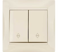 Проходной выключатель TDM ELECTRIC Лама слоновая кость двухклавишный SQ1815-0107