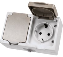 Двойная розетка горизонтальная открытой установки 2П+3 IP54 16А TDM ELECTRIC Вуокса SQ1803-0008