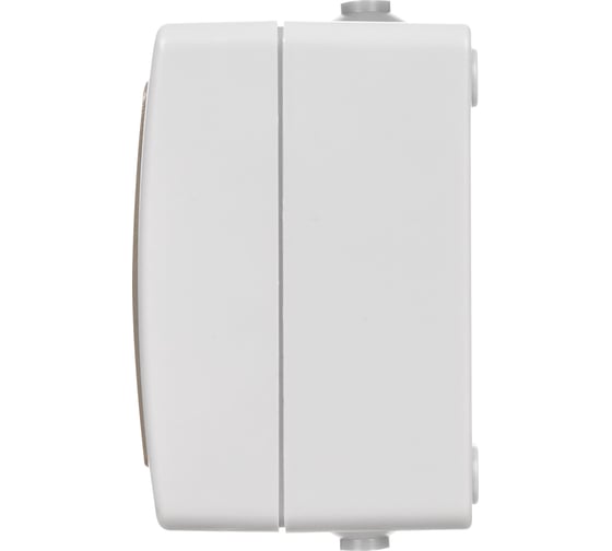 Двойная розетка горизонтальная открытой установки 2П+3 IP54 16А TDM ELECTRIC Вуокса SQ1803-0008