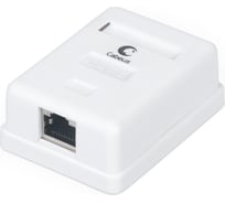 Компьютерная розетка Cabeus RJ-45(8P8C), категория 6, экранированная, одинарная, внешняя, Dual IDC WS-8P8C-Cat.6-SH-1