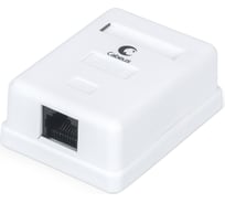 Компьютерная розетка Cabeus RJ-45(8P8C), категория 6, одинарная, внешняя, Dual IDC WS-8P8C-Cat.6-1