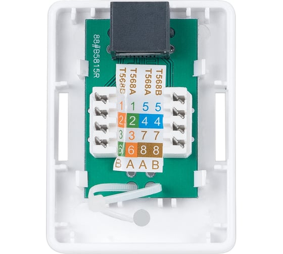 Компьютерная розетка Cabeus RJ-45(8P8C), категория 6, одинарная, внешняя, Dual IDC WS-8P8C-Cat.6-1