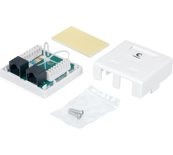 Компьютерная розетка Cabeus RJ-45(8P8C), категория 6, двойная, внешняя, Dual IDC WS-8P8C-Cat.6-2