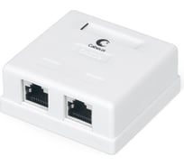 Компьютерная розетка Cabeus RJ-45(8P8C), категория 5e, экранированная, двойная, внешняя, Dual IDC WS-8P8C-Cat.5e-SH-2 26008919