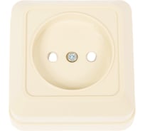 Розетка открытой установки с защитными шторками 2П IP20 10А, слоновая кость TDM ELECTRIC Ладога SQ1801-0063