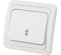 Проходной переключатель TDM ELECTRIC Валдай белый одноклавишный 10А SQ1804-0003