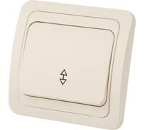 Переключатель слоновая кость на 2 направления 1-клавишный 10А серия "Валдай" TDM ELECTRIC SQ1804-0103
