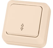 Проходной переключатель TDM ELECTRIC Ладога слоновая кость ОП одноклавишный SQ1801-0006