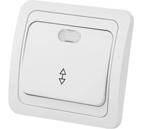 Проходной переключатель TDM ELECTRIC Валдай белый одноклавишный с подсветкой 10А SQ1804-0005