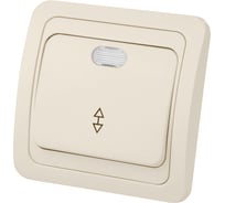 Переключатель слоновая кость на 2 направления с подсветкой 10А серия "Валдай" TDM ELECTRIC SQ1804-0105