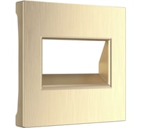 Накладка для двойной розетки еthernet rj-45 WERKEL шампань рифленый a051415