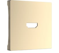 Накладка для розетки hdmi WERKEL шампань a040908